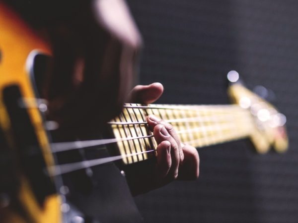 Bass guitar chords in action (Pixabay)