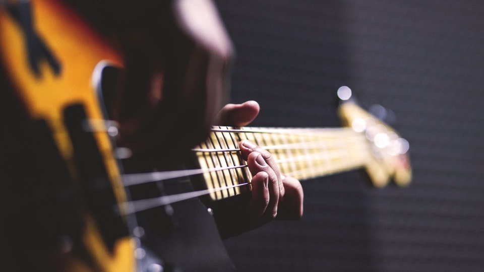 Bass guitar chords in action (Pixabay)