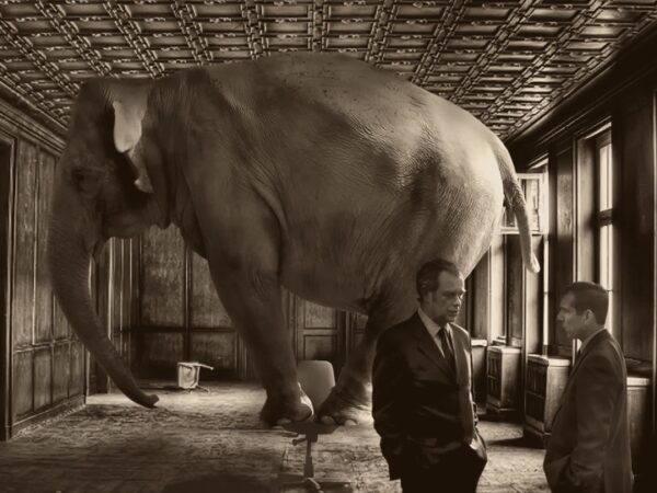 Elephant In The Room (picture: cc David Blackwell / Flickr)